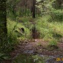 2011-Sep-10_HGR4X4_RichloamBB 055